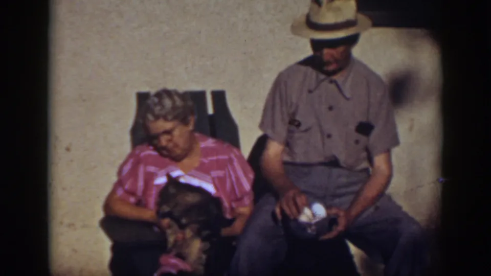 The woman in a pink striped blouse looks toward the cat on her lap as the man beside her holds several white eggs in a small bowl.