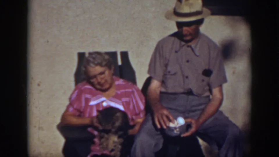 The older couple remains seated outdoors against a plain wall, with the woman holding the cat and the man resting a hand near the egg bowl.