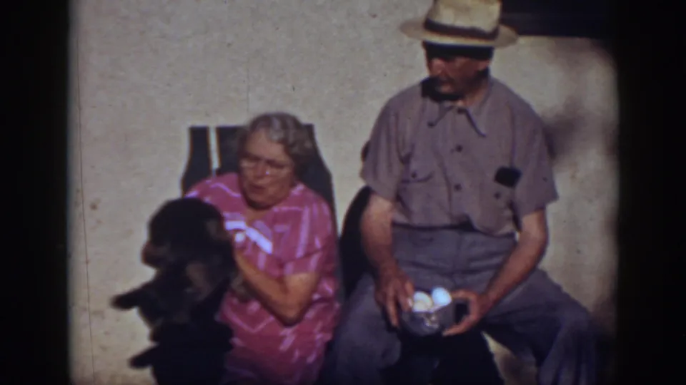 The small dog is lifted or tossed in front of the seated woman while the man turns toward her, still holding the eggs.