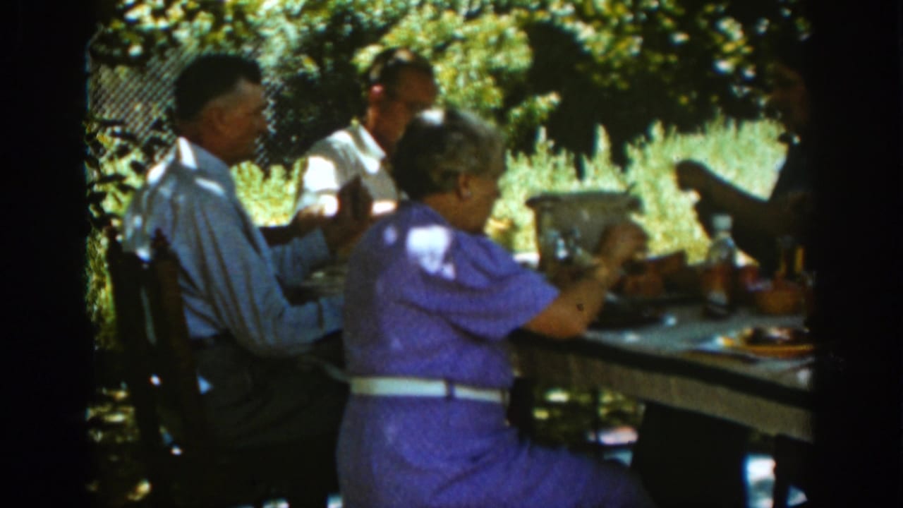 Adults seated outdoors at a table under trees during a meal.