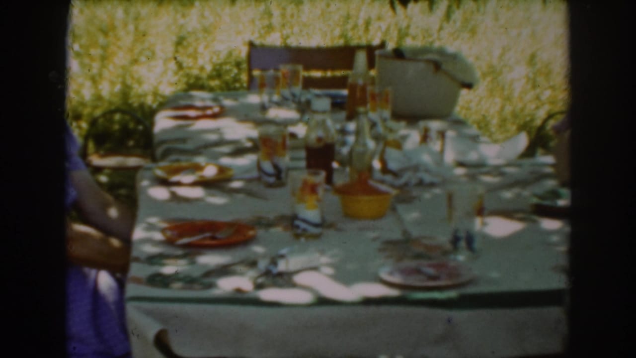 Picnic table set outdoors with plates, glasses, bottles, and a seated person partly visible at left.