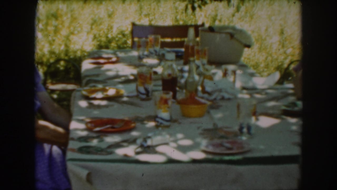 Outdoor picnic table with plates, glasses, bottles, chairs, and bright foliage behind it.