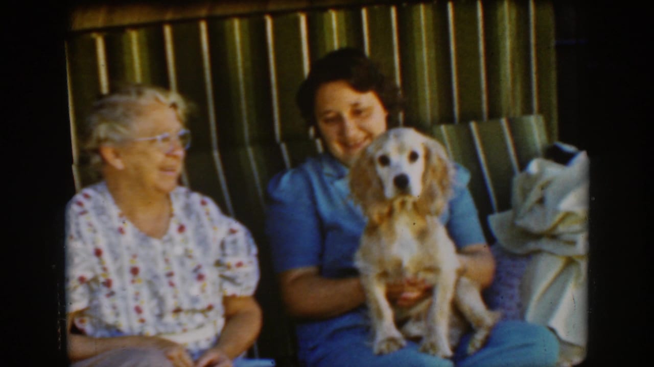 The younger woman smiles while holding the cocker spaniel beside an older woman on a bench.