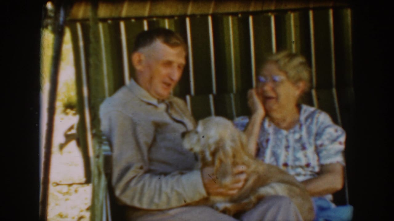 Elderly couple sits on a porch swing while a tan dog rests on the man's lap.