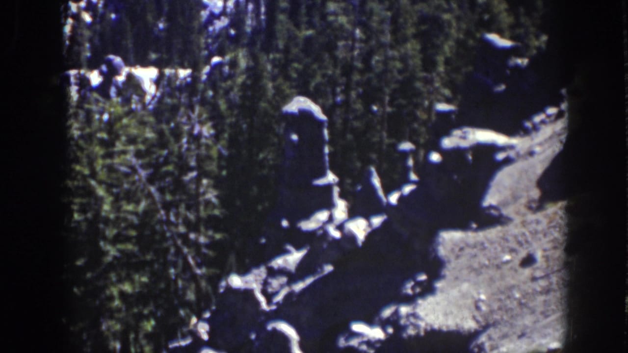 Pine forest with pale rock outcrops and a sunlit dirt clearing.