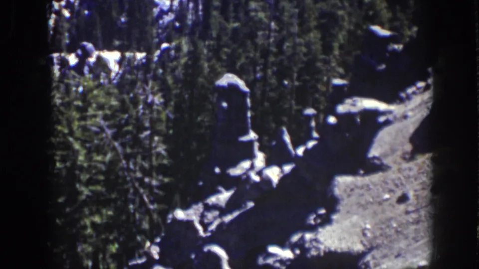 1939 Lake Tahoe home-movie frame showing pine trunks, brush, pale rocks, and a sunlit forest clearing.