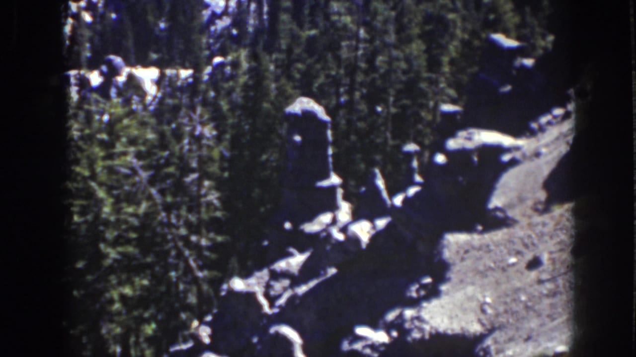 Rock outcrop beside a dirt clearing in a dense pine grove.