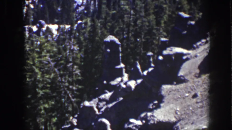 Lake Tahoe 8mm frame with a shaded pine grove, scattered pale rocks, and bright sunlight on the dirt ground.