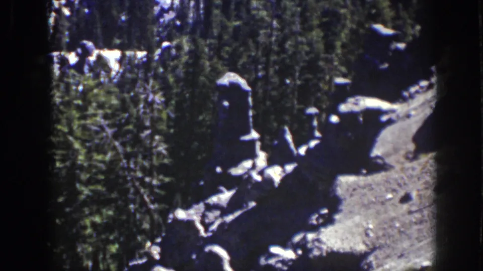 1939 Lake Tahoe frame showing a rocky forest floor, vertical pine trunks, brush, and high-contrast afternoon-like light.