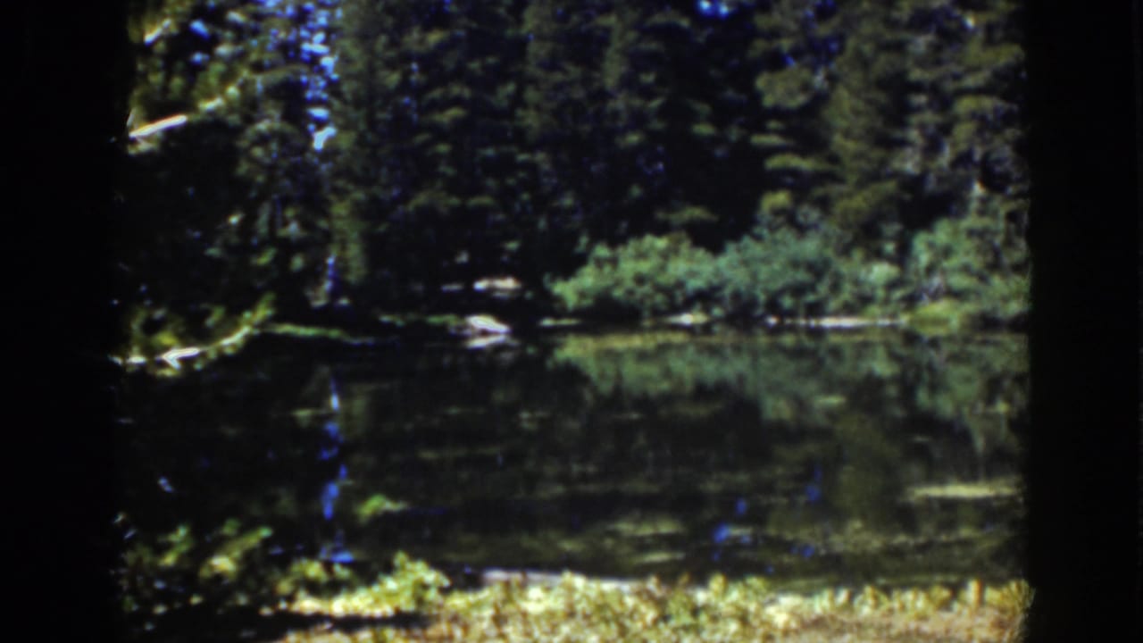 Calm forest lake bordered by evergreen trees and shoreline brush.