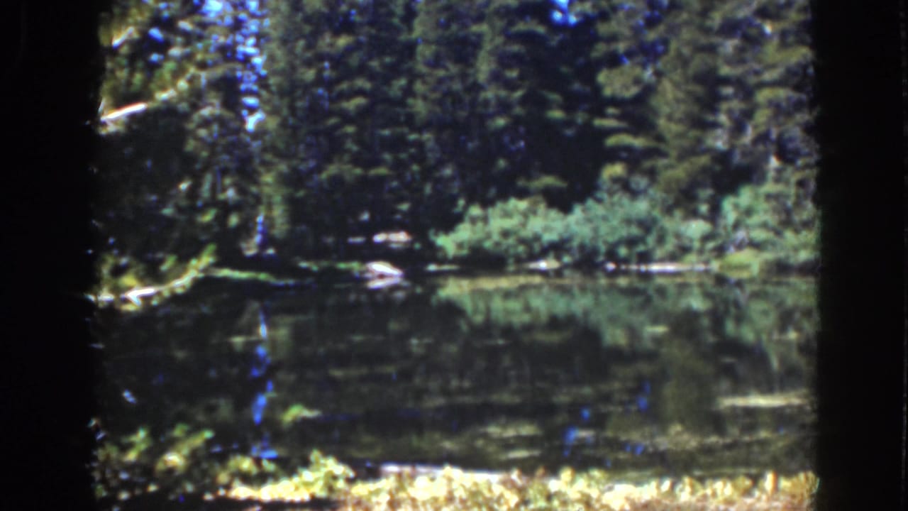 Still water reflecting evergreen trees along a shaded forest shoreline.