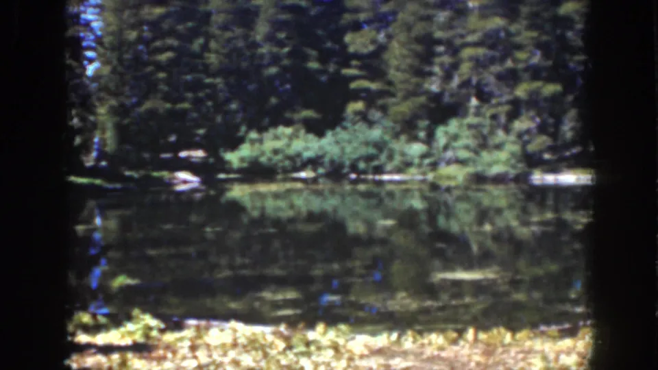 1939 Lake Tahoe frame with dense trees, low shoreline vegetation, and mirror-like water in a quiet forest setting.