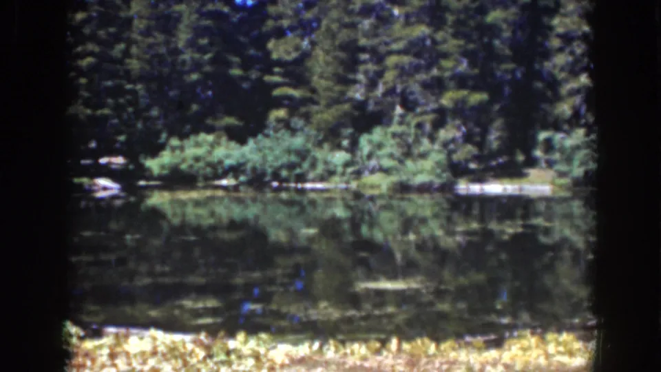 Lake Tahoe home-movie frame from 1939 showing a shaded forest bank, brush, and calm water with soft reflections.