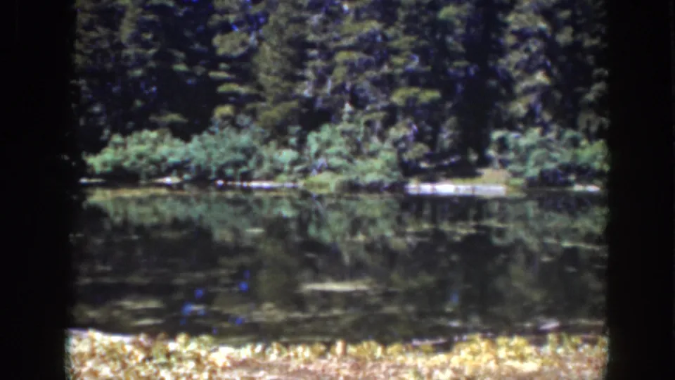 1939 Lake Tahoe 8mm frame showing tall evergreens, shoreline shrubs, and quiet reflective water.