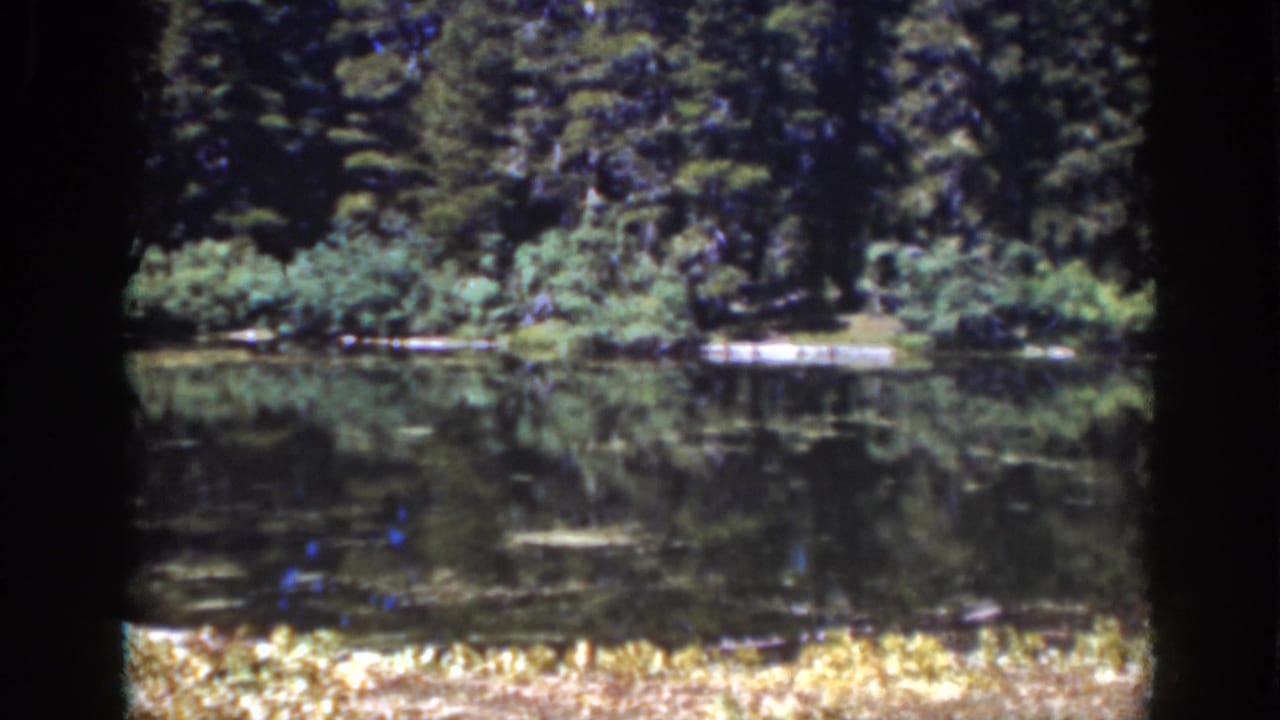 Calm lake bordered by evergreen trees with shoreline reflections.
