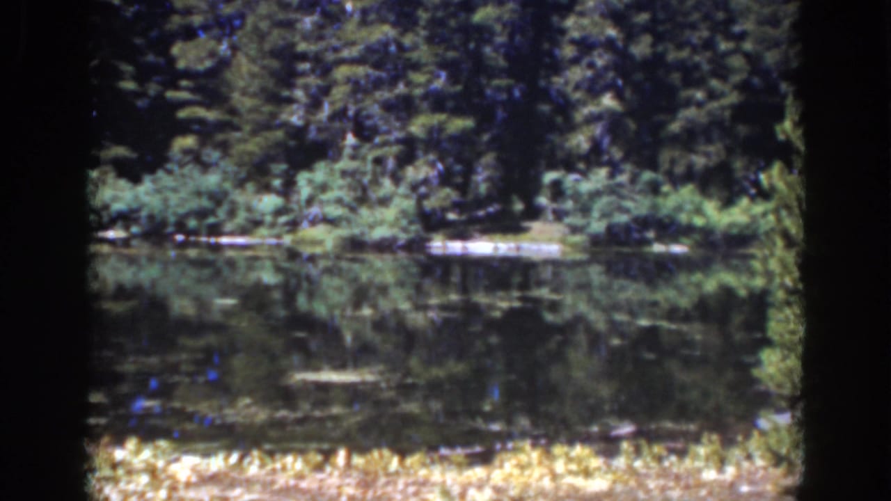 Forested lakeshore reflected in calm water with a small dock-like feature.