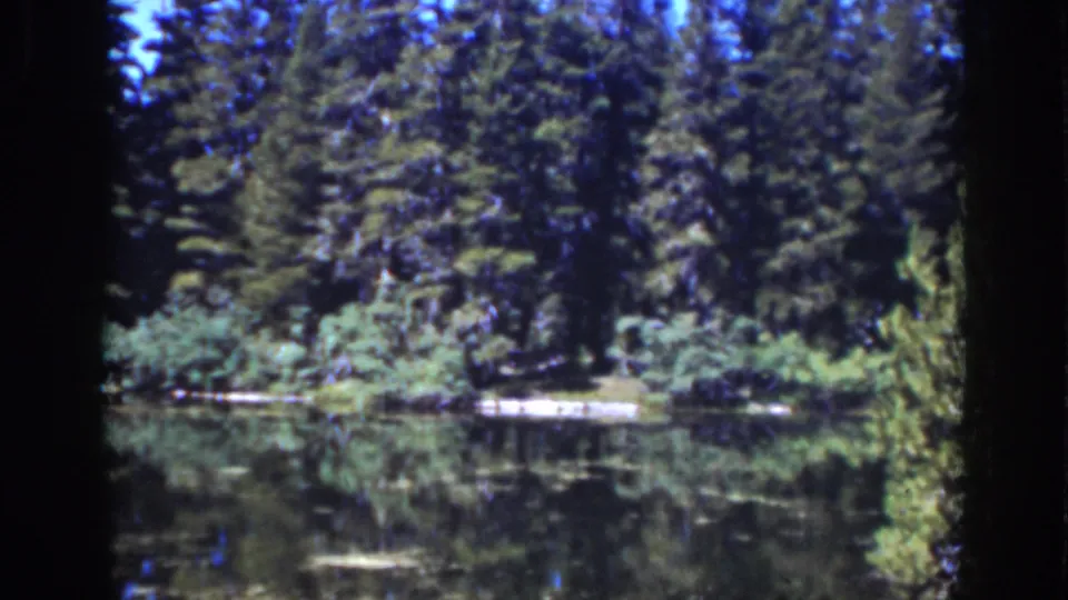 Lake Tahoe 1939 home-movie frame with dense evergreens, calm reflective water, and bright shoreline vegetation.