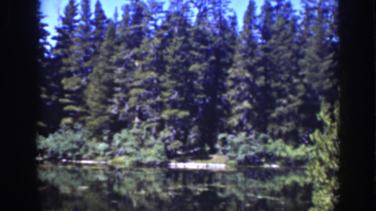 Tree-lined lake shore with still water and a pale strip at the bank.