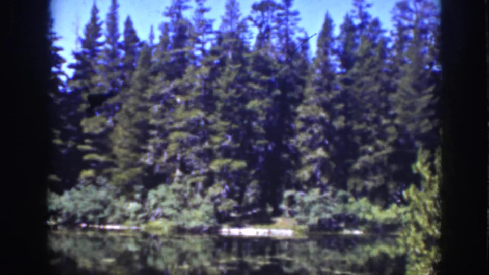 Vintage 8mm view of a forested Lake Tahoe edge, with water reflections and sunlit shore.