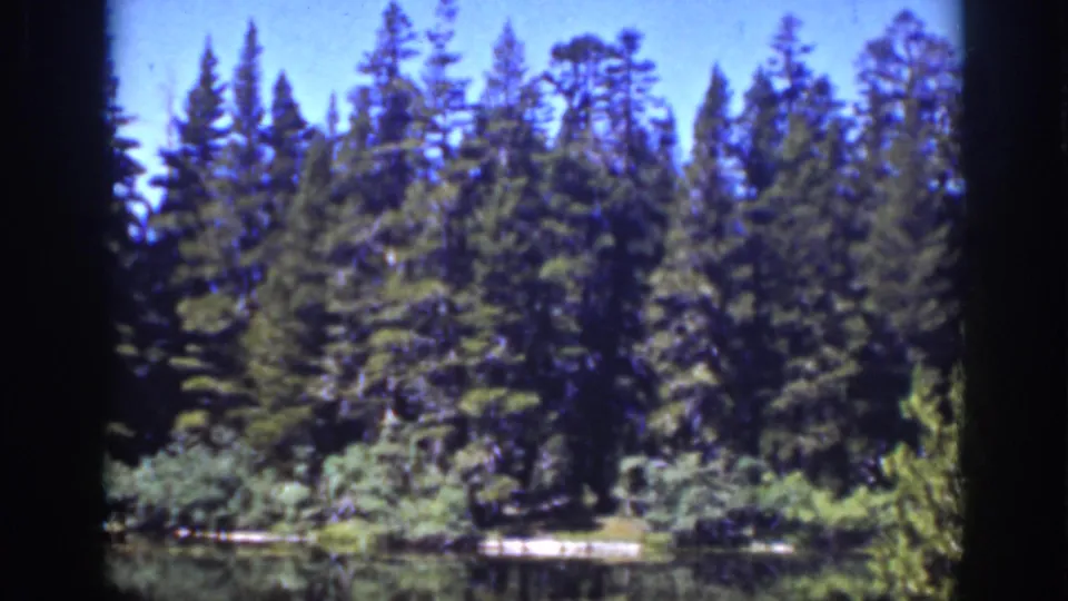 1939 Lake Tahoe frame showing evergreen forest across still water, framed by dark 8mm edges.
