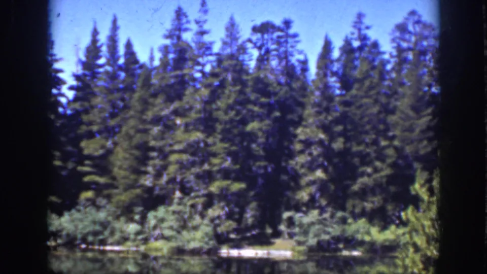 1939 Lake Tahoe home-movie frame showing dense conifer trees, a bright sky, and a narrow strip of open ground near water or roadside.