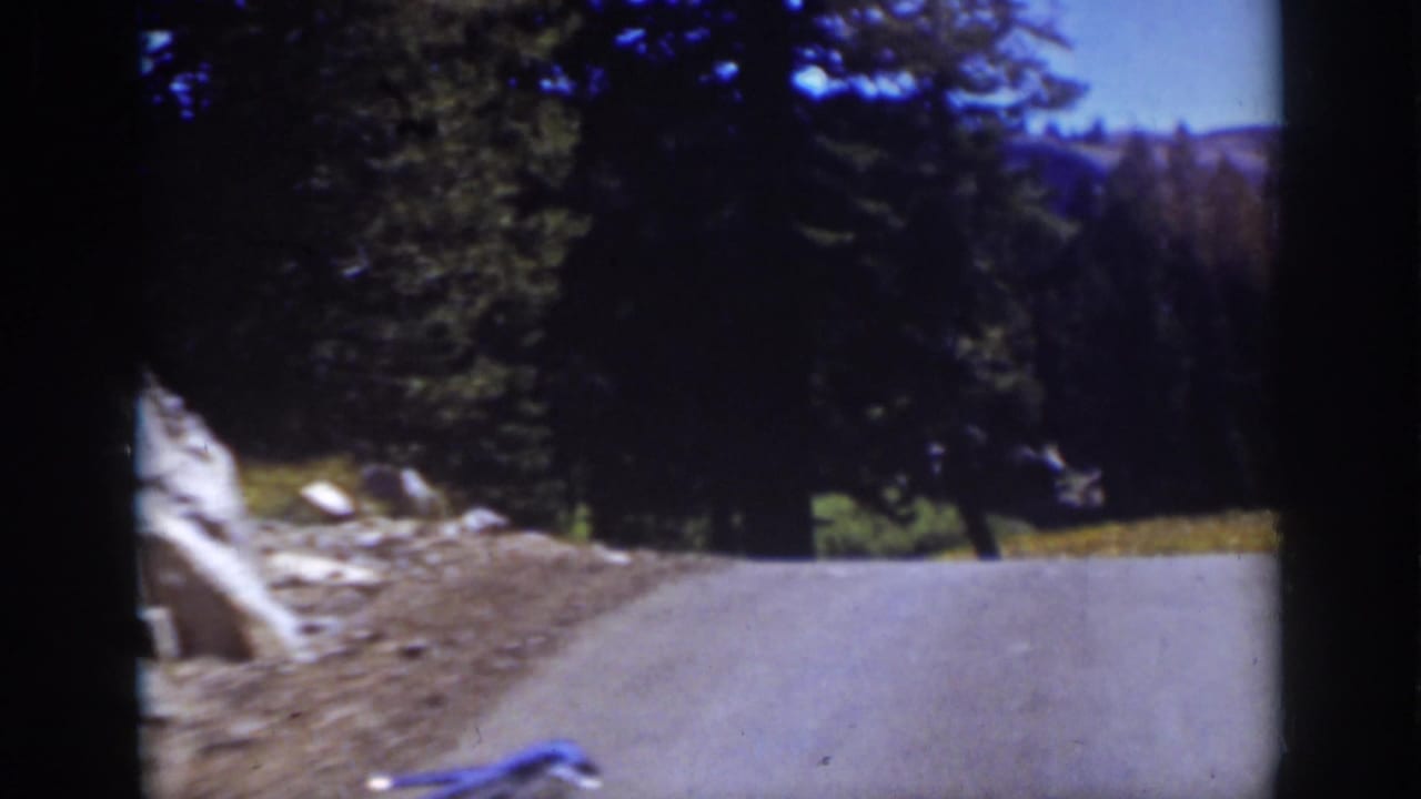 1939 Lake Tahoe travel footage shows the vehicle-facing road view passing trees, roadside rock, grass, and a distant mountain slope.