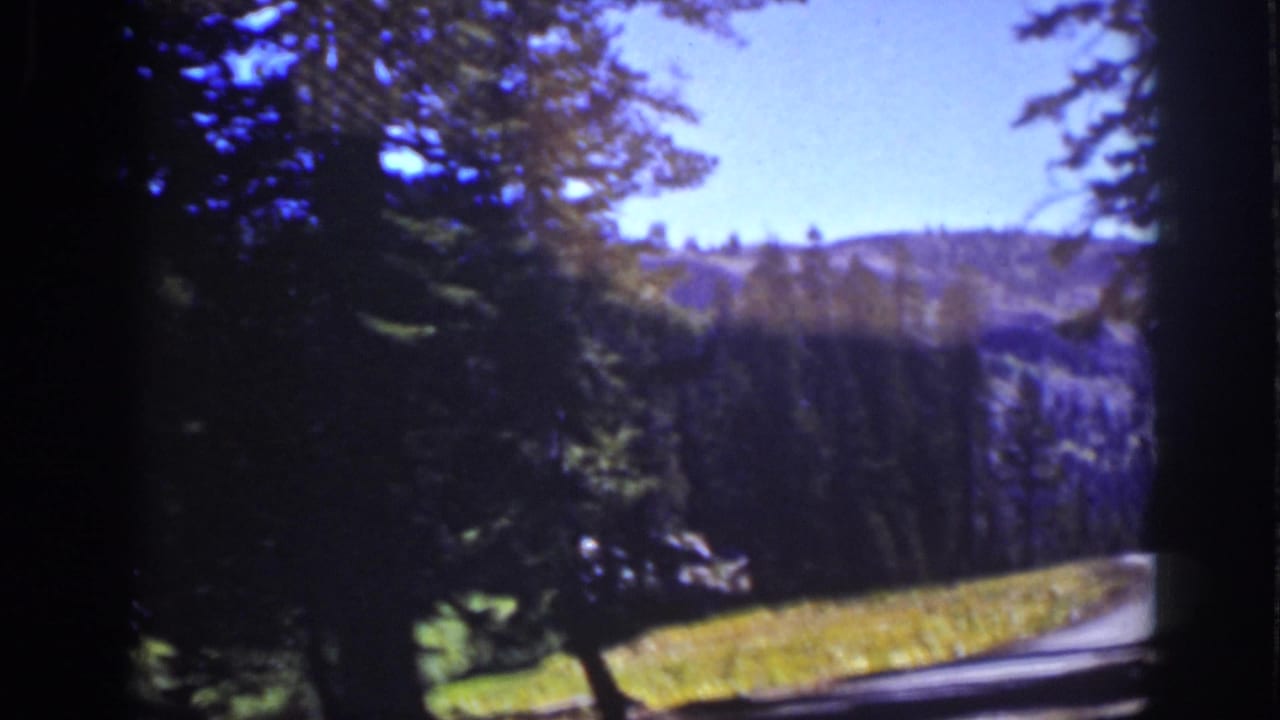 The final Lake Tahoe frame shows a road edge, conifers, sunlit grass, and wooded hills seen from a moving vehicle perspective.