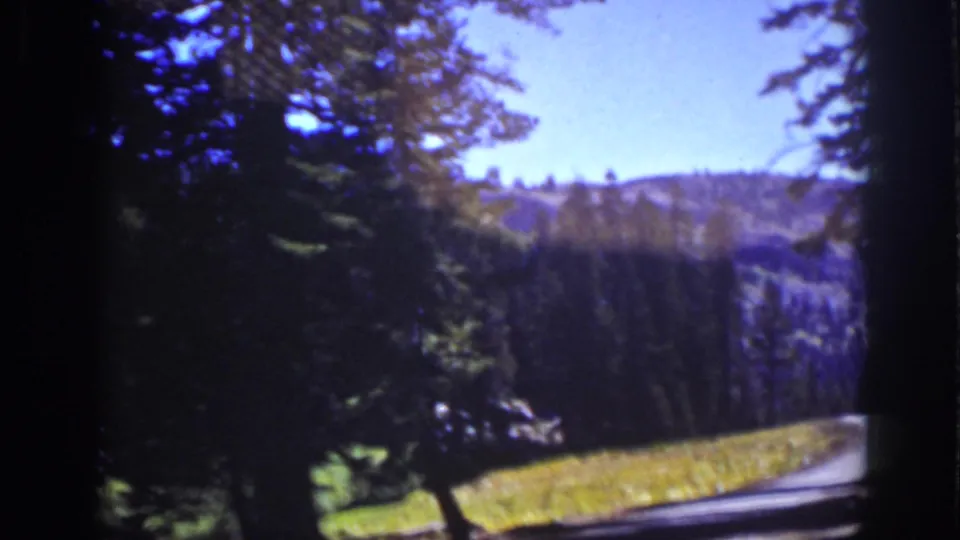 The final Lake Tahoe frame shows a road edge, conifers, sunlit grass, and wooded hills seen from a moving vehicle perspective.