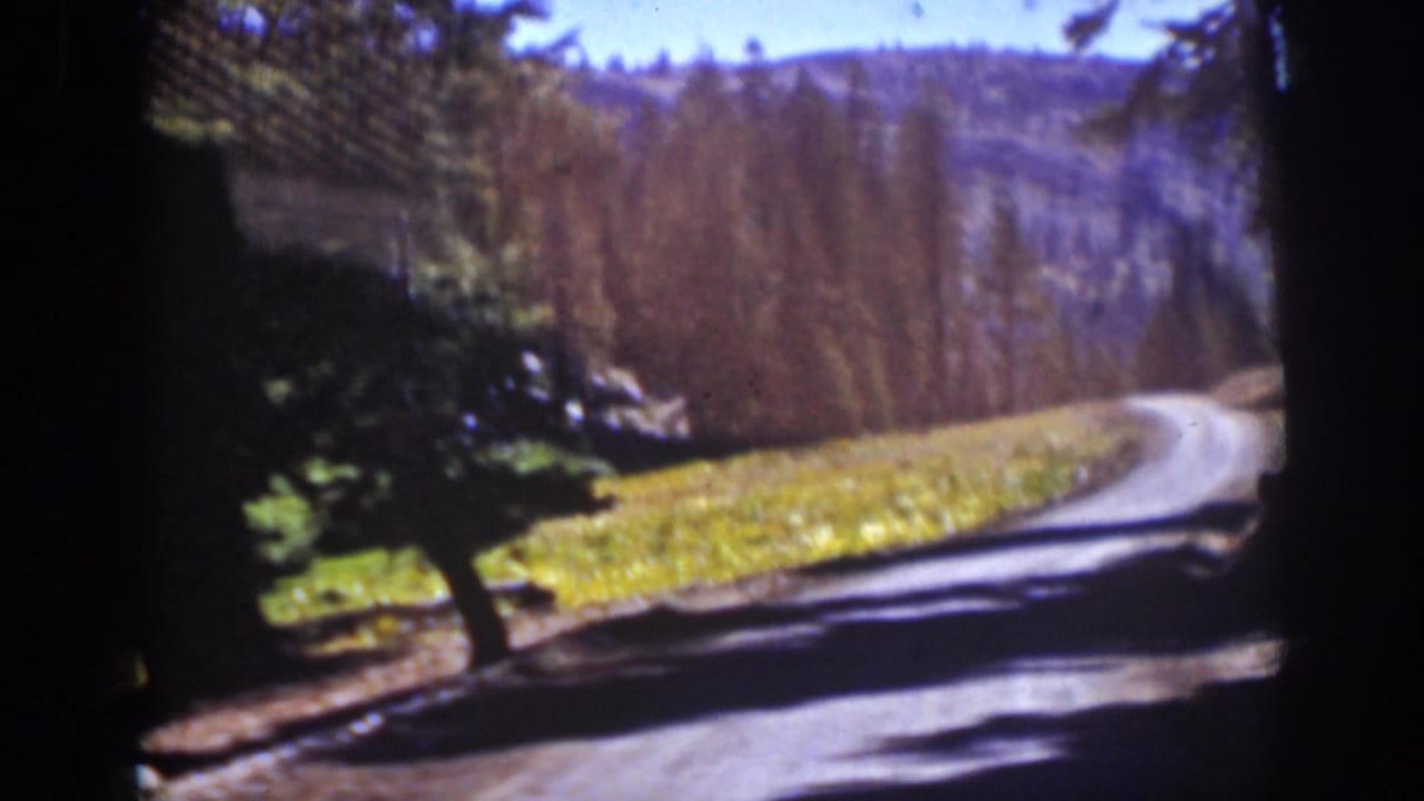 Curving mountain road beside trees and an open meadow under distant wooded slopes.
