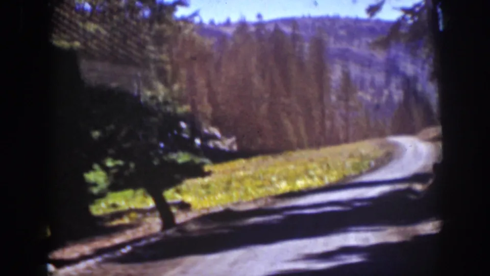 1939 Lake Tahoe-area 8mm frame showing a curving mountain road, evergreens, meadow ground, and wooded hills in soft color.