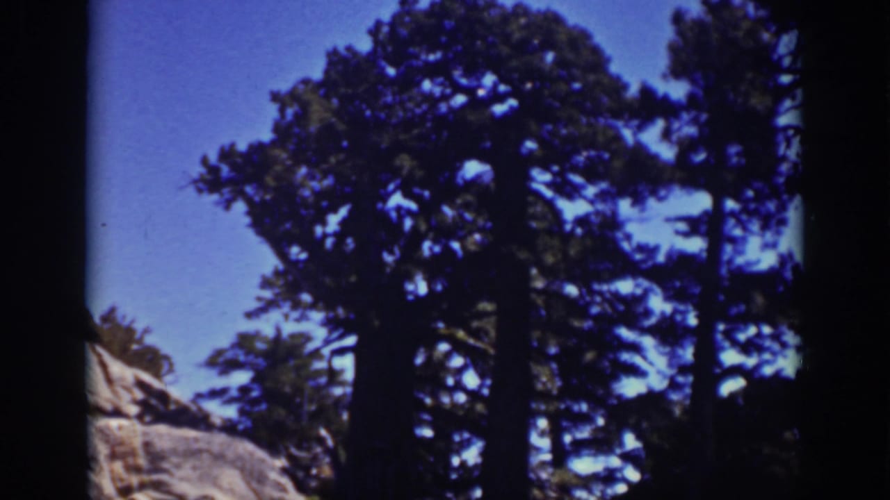 Evergreen trees rise against a blue sky with pale rock at the lower left.
