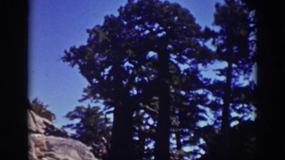 1939 Lake Tahoe home-movie frame showing tall evergreens silhouetted against blue sky above rocky terrain.