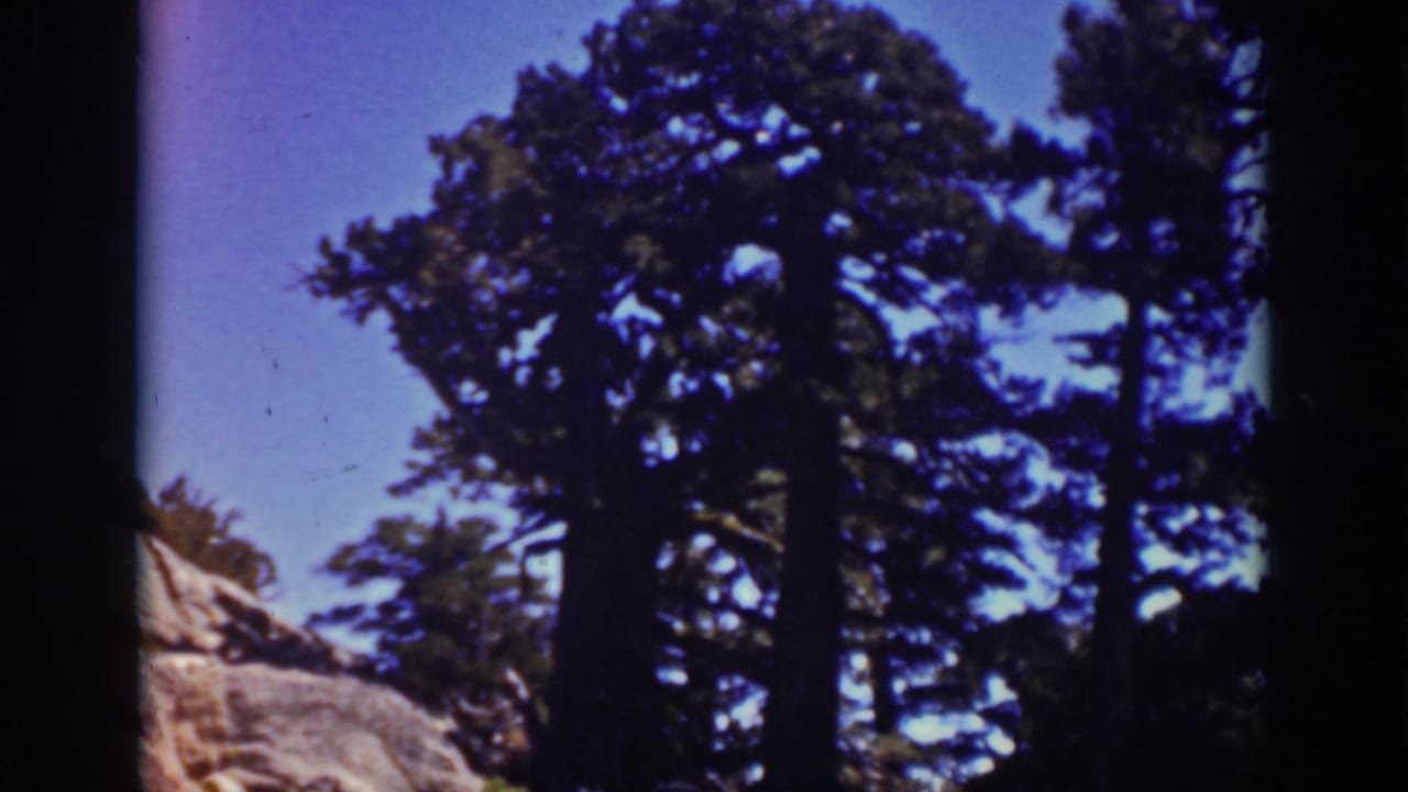 1939 Lake Tahoe frame showing conifer trees, a pale foreground boulder, and saturated blue sky in amateur 8mm color.