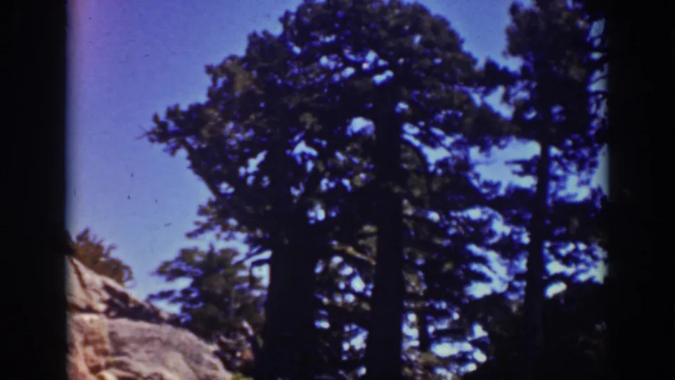 1939 Lake Tahoe frame showing conifer trees, a pale foreground boulder, and saturated blue sky in amateur 8mm color.