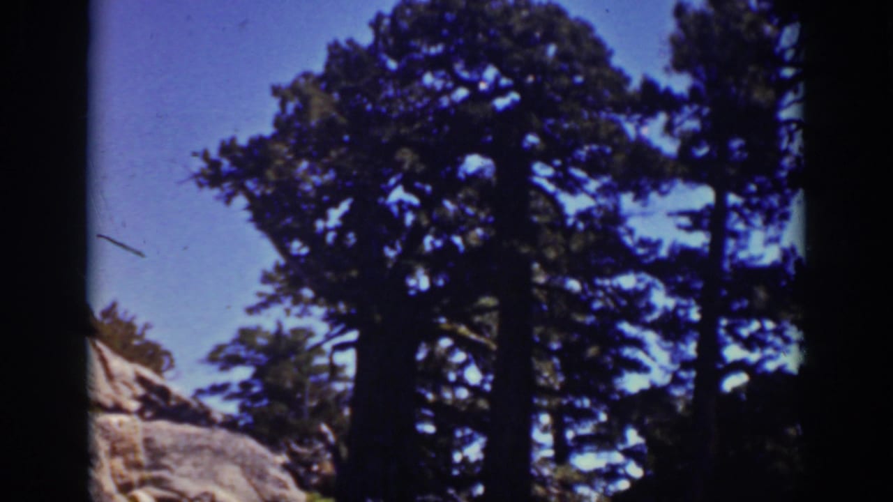 Lake Tahoe home-movie frame with tall evergreens, a foreground granite boulder, blue sky, and visible film dust.