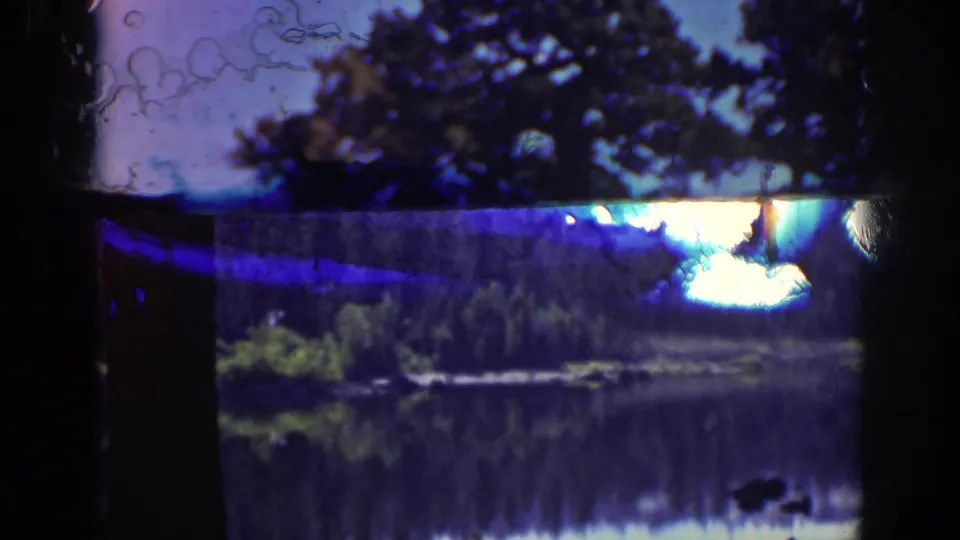 1939 Lake Tahoe 8mm frame showing dark pine trunks, a still lake, forested shoreline, and visible film-gate artifacts.