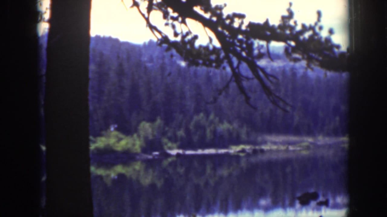 Lake Tahoe home-movie view of a wooded shoreline and lake surface framed by pine trunks and branch silhouettes.