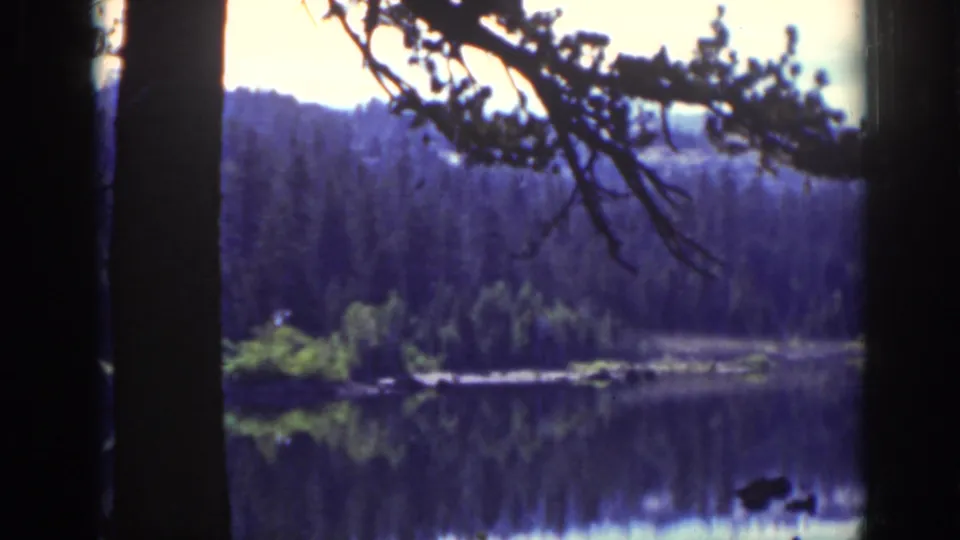 Lake Tahoe home-movie view of a wooded shoreline and lake surface framed by pine trunks and branch silhouettes.