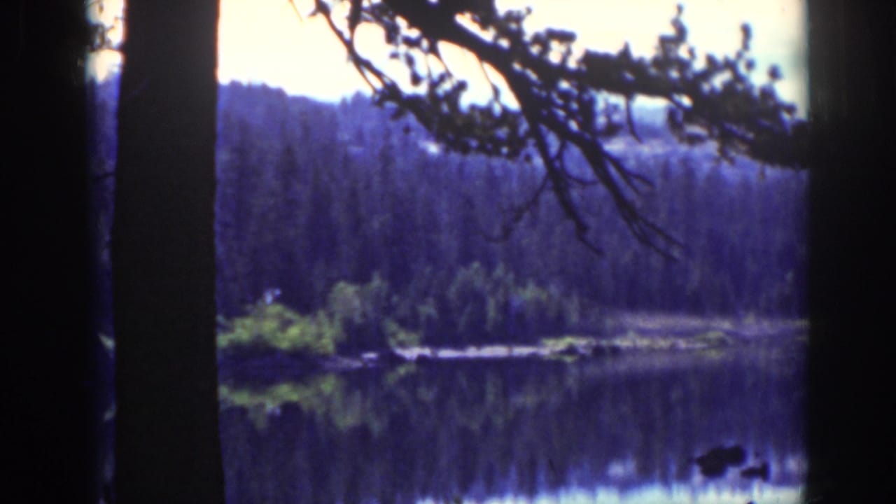 1939 Lake Tahoe scenery with silhouetted pine branches, blue-toned forest, and a calm reflective lake in soft 8mm focus.
