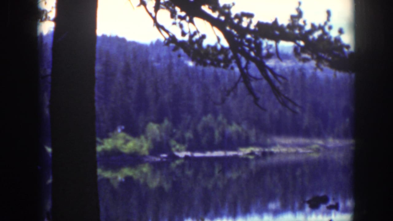 Lake Tahoe 8mm landscape frame with dark pine silhouettes, a dense forested bank, and tree reflections on calm water.