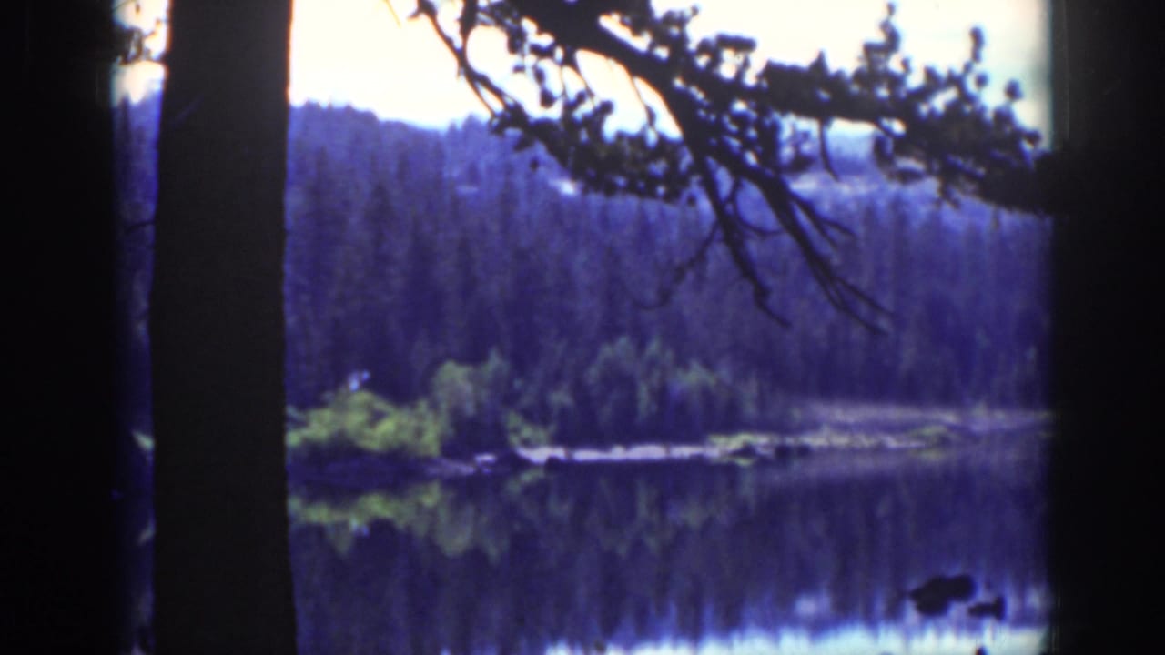 Lake Tahoe scene from 1939 with still water, evergreen reflections, and shadowed foreground trees.