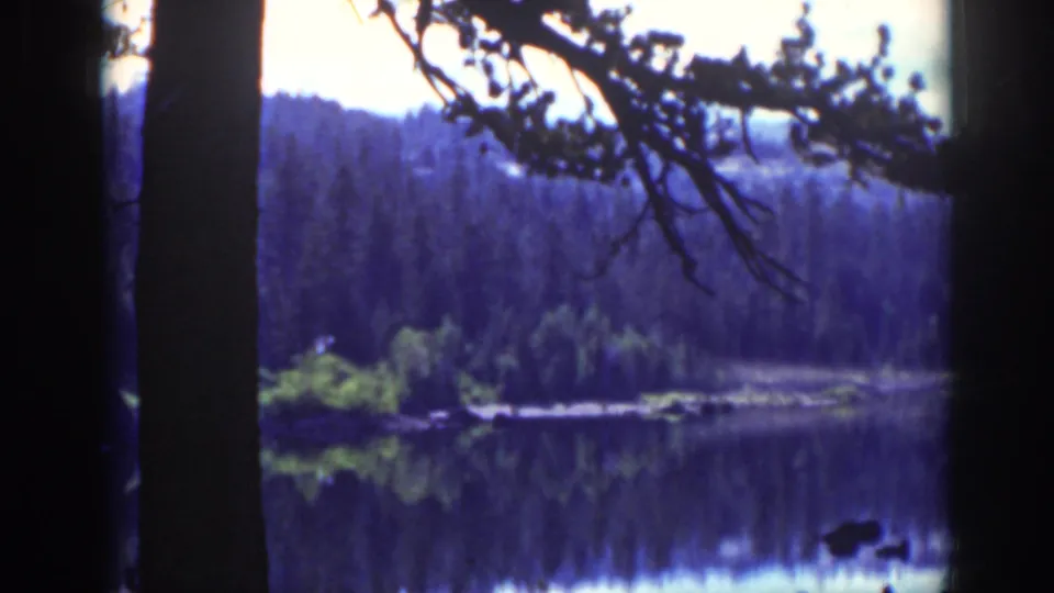 Lake Tahoe scene from 1939 with still water, evergreen reflections, and shadowed foreground trees.