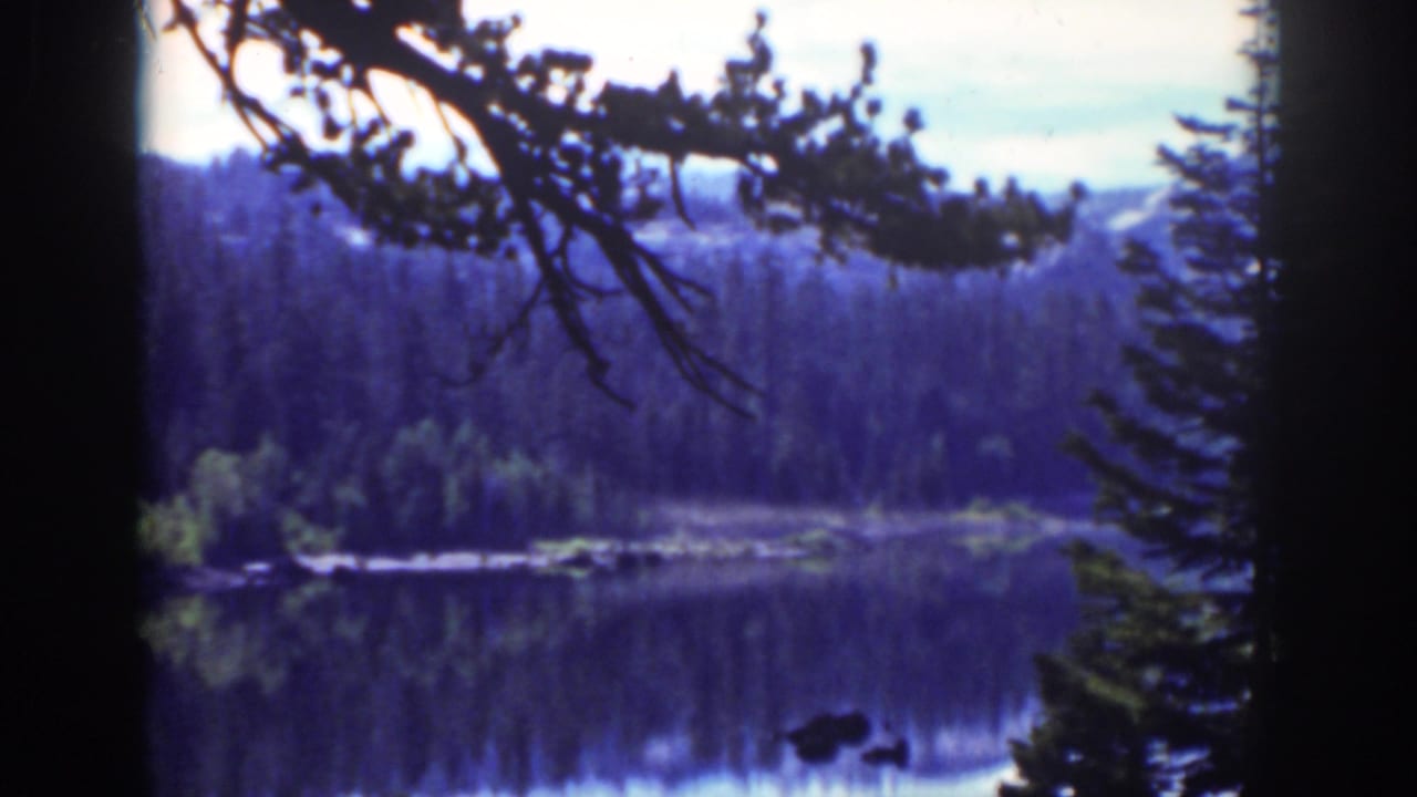 Still lake bordered by pines and distant mountains, framed by dark foreground trees.