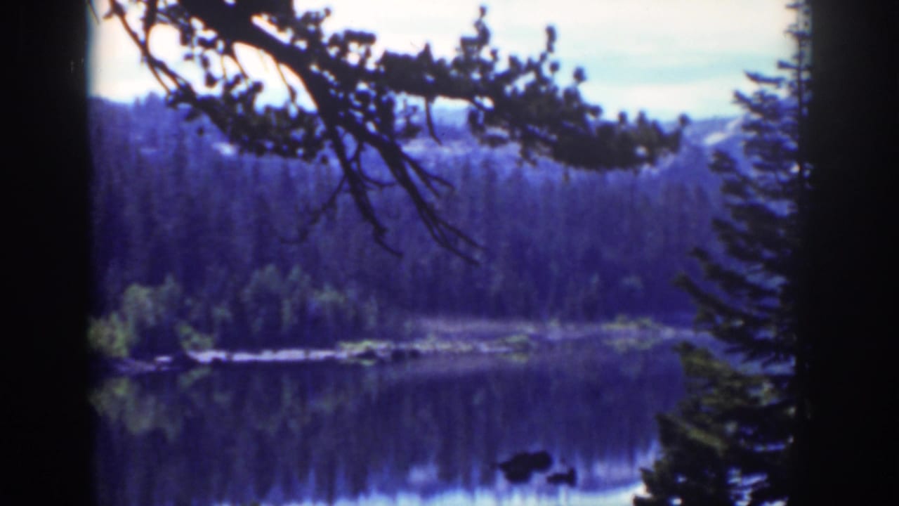 Vintage 8mm Lake Tahoe view from 1939 showing still water, pine-covered shore, mountain backdrop, and silhouetted branches above.