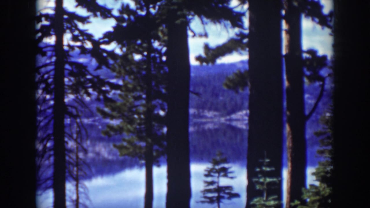 Pine trunks and branches frame a blue mountain lake with wooded slopes beyond.