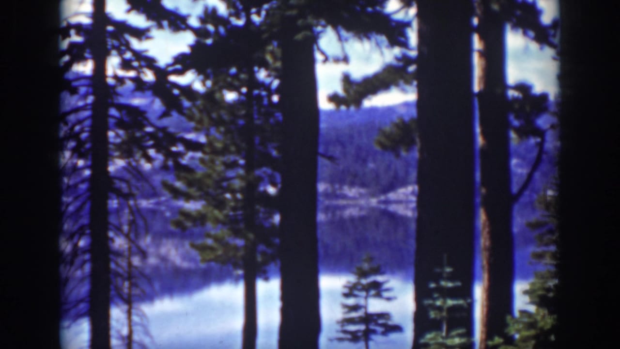 1939 Lake Tahoe frame with silhouetted pines in the foreground and blue water below a wooded mountain slope.