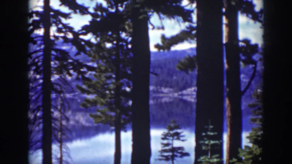 1939 Lake Tahoe frame with silhouetted pines in the foreground and blue water below a wooded mountain slope.