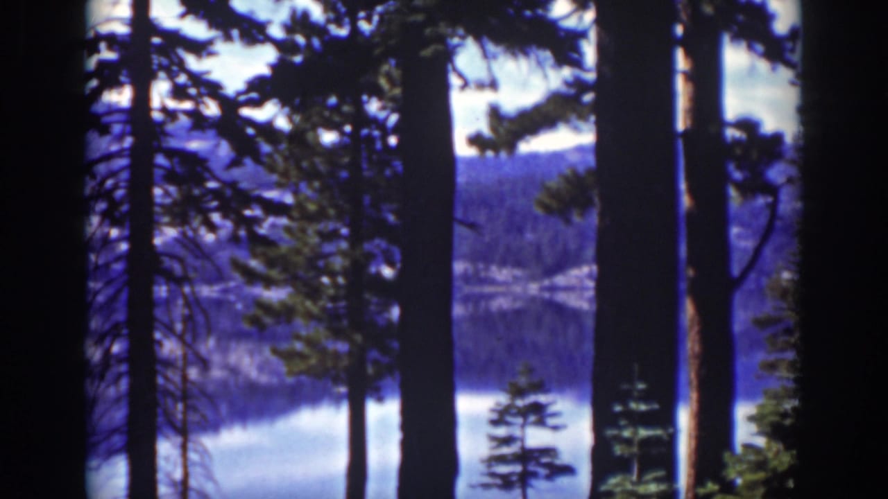 Lake Tahoe, supported by metadata, appears through foreground pines in a soft 1939 8mm home-movie view.