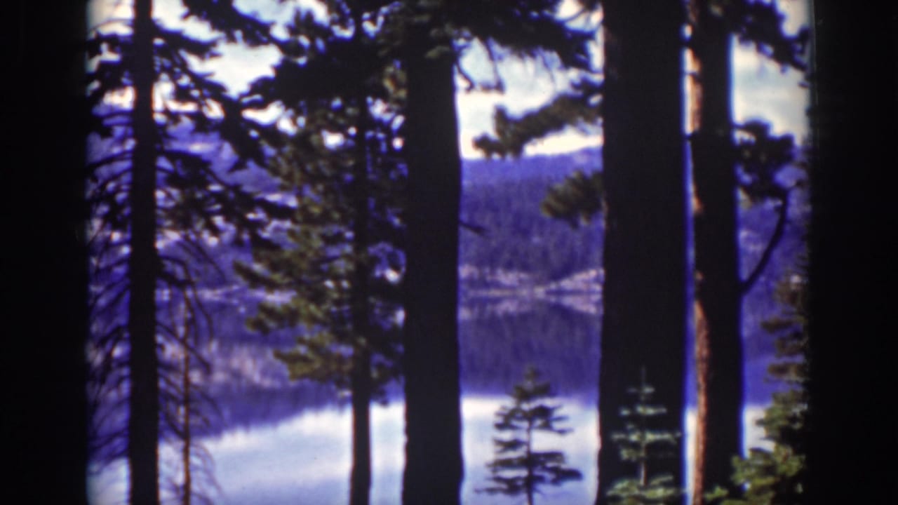 Lake Tahoe, California view from 1939 8mm footage, seen through pine trunks toward water and forested hills.