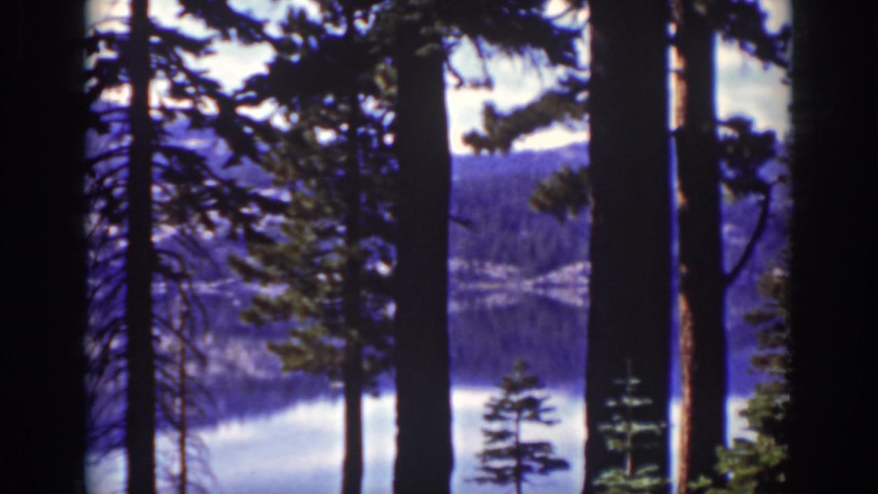 Archival 8mm frame of Lake Tahoe in 1939, with shaded pine trunks framing the lake and mountain background.